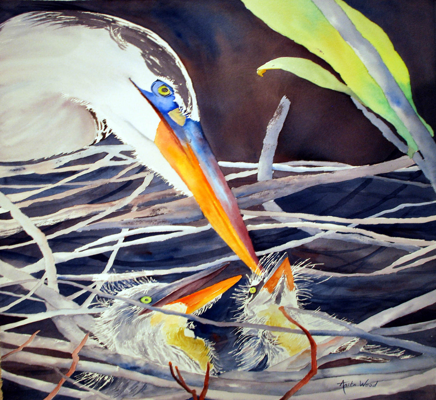 Early Morning Breaky