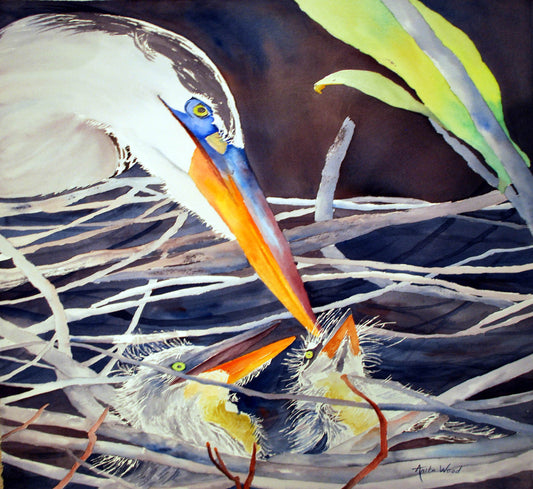 Early Morning Breaky