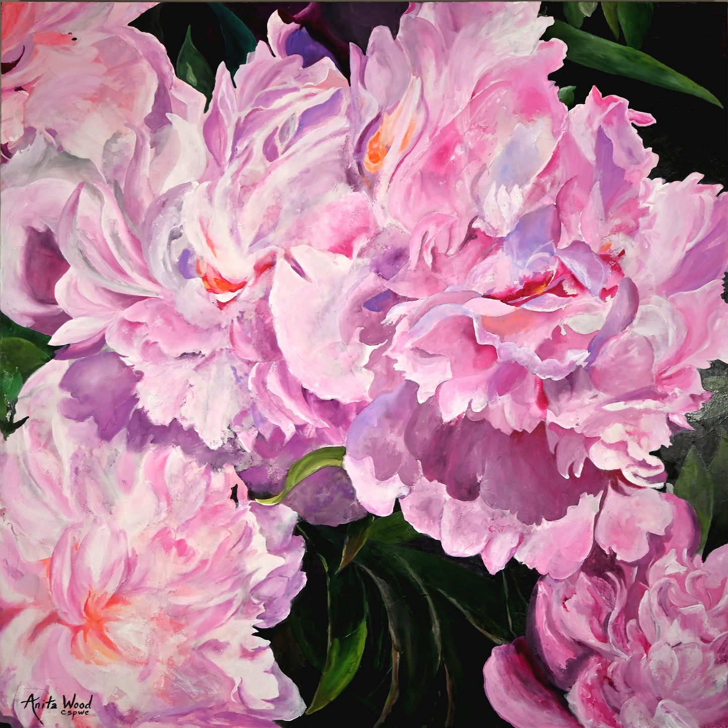 Peony Passion