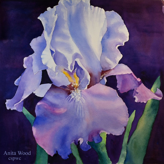 Irresistible Iris