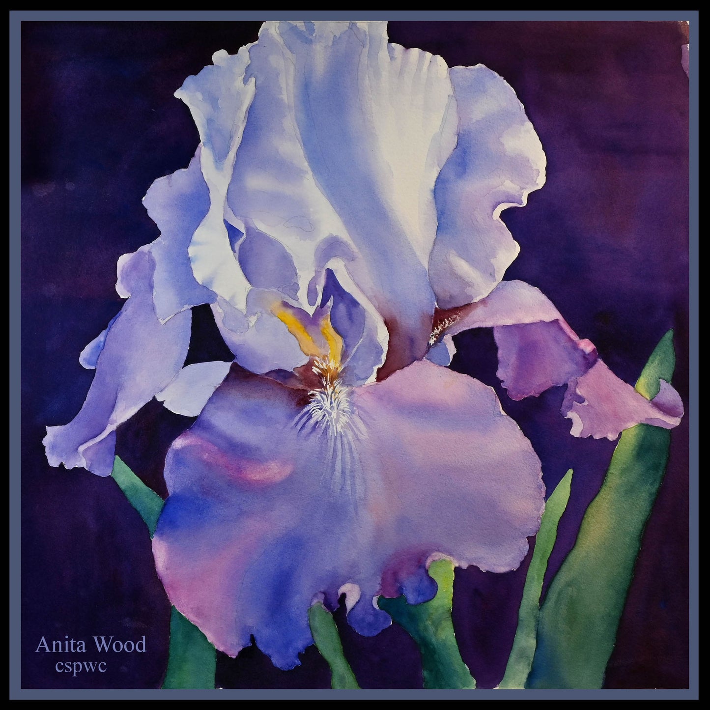 Irresistible Iris