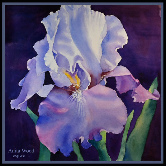 Irresistible Iris