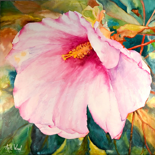 Rose of Sharon